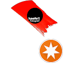 Jörg Haefeli (Foto Haefeli) profile picture